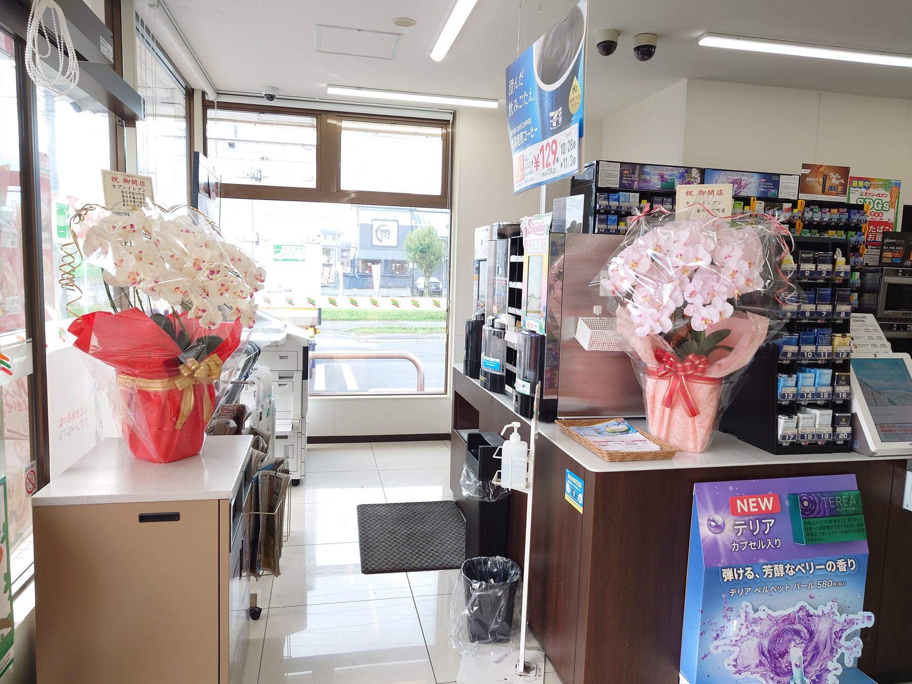 店舗カウンターの胡蝶蘭